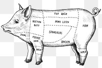 Black and white png cut of pig