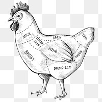 Black and white  png cut of chicken