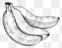 Three hand drawn fresh bananas transparent png