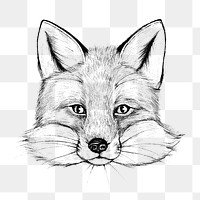 Cute hand drawn fox transparent png