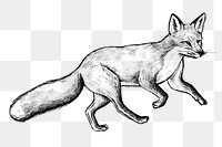 Cute hand drawn fox transparent png