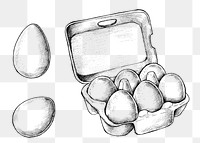 Hand drawn a box of raw eggs transparent png