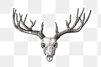 Hand drawn deer skull with antler sticker with a white border design element