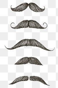 Hand drawn moustache design element set