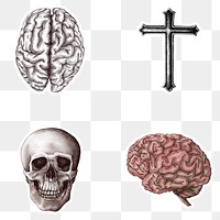 Hand drawn skull and cross sticker with a white border design element set