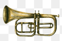 Hand drawn brass trumpet design element