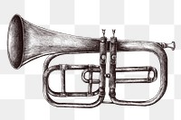 Hand drawn trumpet design element