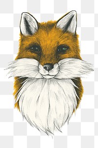 Hand drawn fox design element 