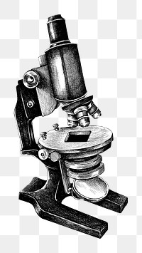 Hand drawn microscope design element