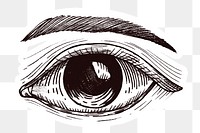  Hand drawn human eye sticker with a white border design element