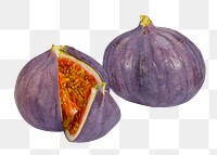 Fresh fig png clipart, purple fruit on transparent background