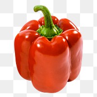 Red capsicum png clipart, vegetable, organic ingredient