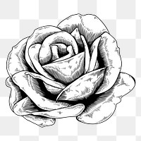 Black and white rose sticker design element