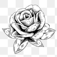 Black and white rose sticker design element