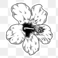 Black and white hibiscus flower sticker with a white border design element