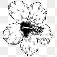 Black and white hibiscus flower sticker design element