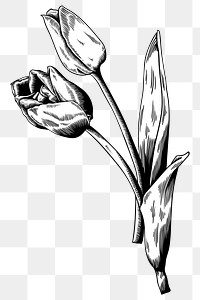 Black and white tulip sticker design element