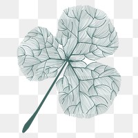 Doodle green clover leaf sticker design element