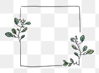 Botanical frame png sticker, doodle illustration