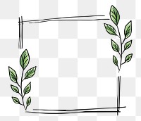 Simple doodle frame png sticker, hand drawn botanical design