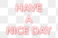 Pink neon phrase HAVE A NICE DAY typography design element