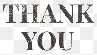 Thank you png appreciation word art