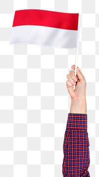 Monaco's flag png in hand sticker on transparent background
