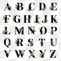 Botanical capital alphabet png set