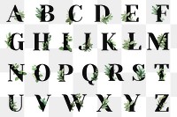 Botanical alphabet font png collection abc