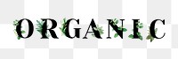 Botanical ORGANIC png word typography