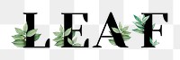 Botanical LEAF png word typography