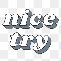 Nice Try word png retro typography