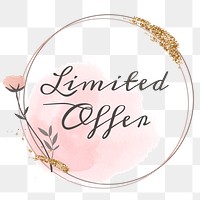 Limited offer png floral frame