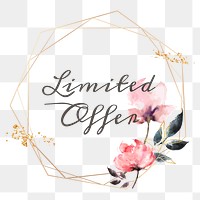 Limited offer png floral frame