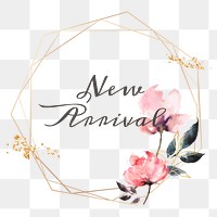 New arrival png floral frame