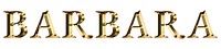 Barbara typography in gold effect design element 