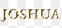 Joshua typography in gold effect design element 