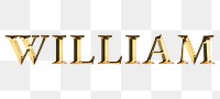 William golden name typography design element