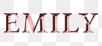 Emily typography in rose gold design element