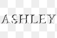 Ashley typography in silver metallic effect design element 