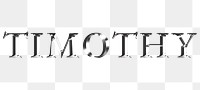 Timothy typography in silver metallic effect design element