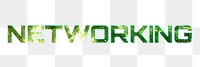 NETWORKING text png green typography word