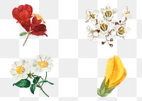 Hand drawn flower psd sticker set vector illustration