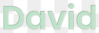 David png male name typography