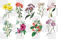 Png flowers vintage botanical sticker set