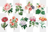 Flowers vintage botanical png sticker set