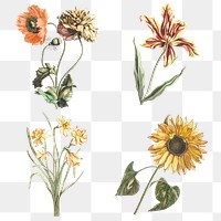 Vintage flower png sticker illustration set