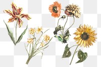 Vintage flower png sticker hand drawn illustration set