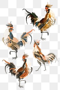 Hand drawn chicken png sticker bird vintage  illustration set