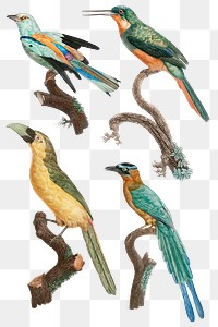 Vintage bird png animal sticker set
